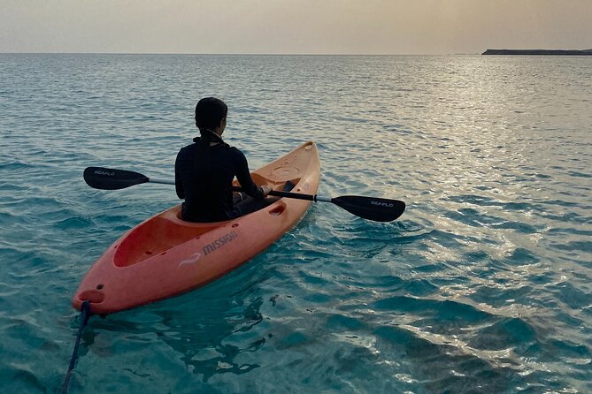 Daymaniyat Islands Snorkeling Sharing Trip - A captain-led search for turtles and coral