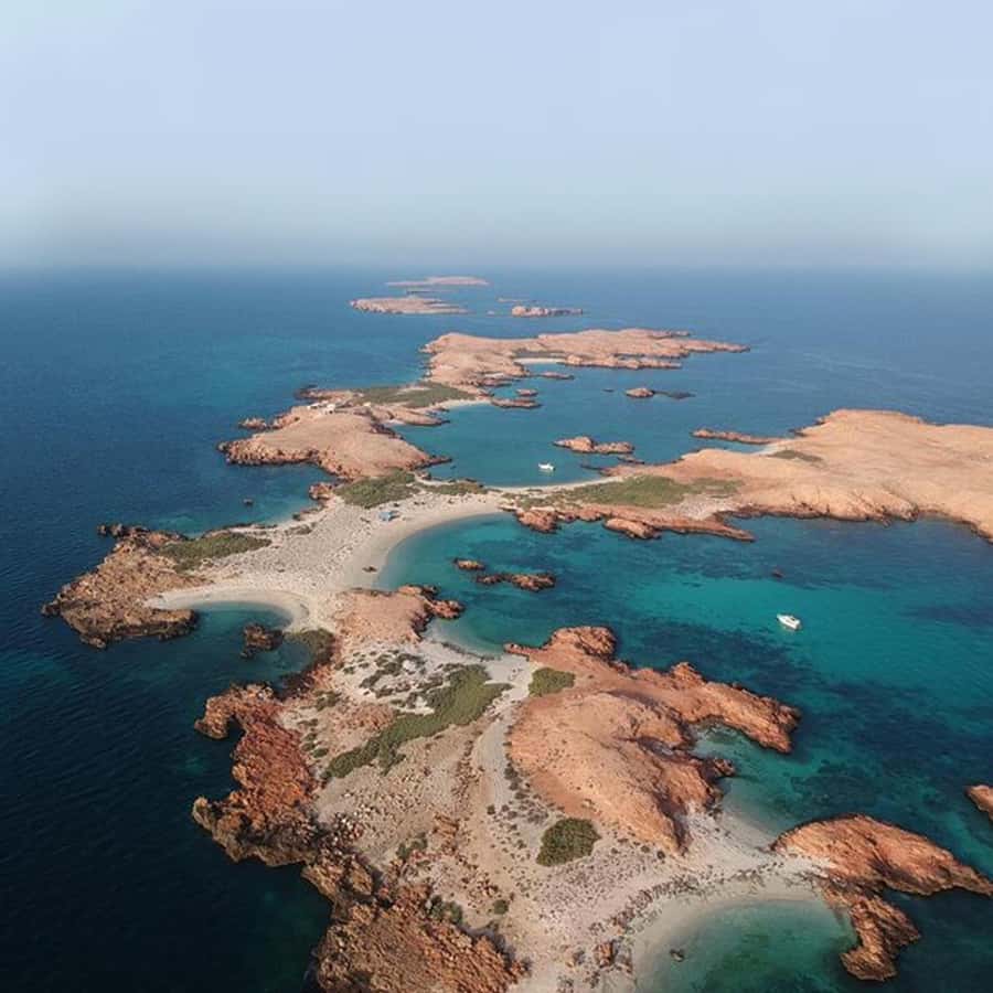 Daymaniyat Islands Snorkeling with Picnic Lunch - The Return Cruise and Crew Style
