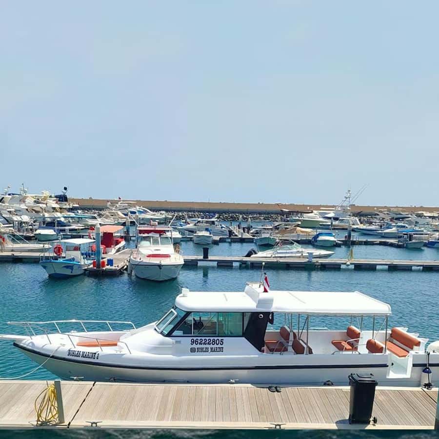 Daymaniyat Islands Snorkeling with Picnic Lunch - Who Will Enjoy This Day Most