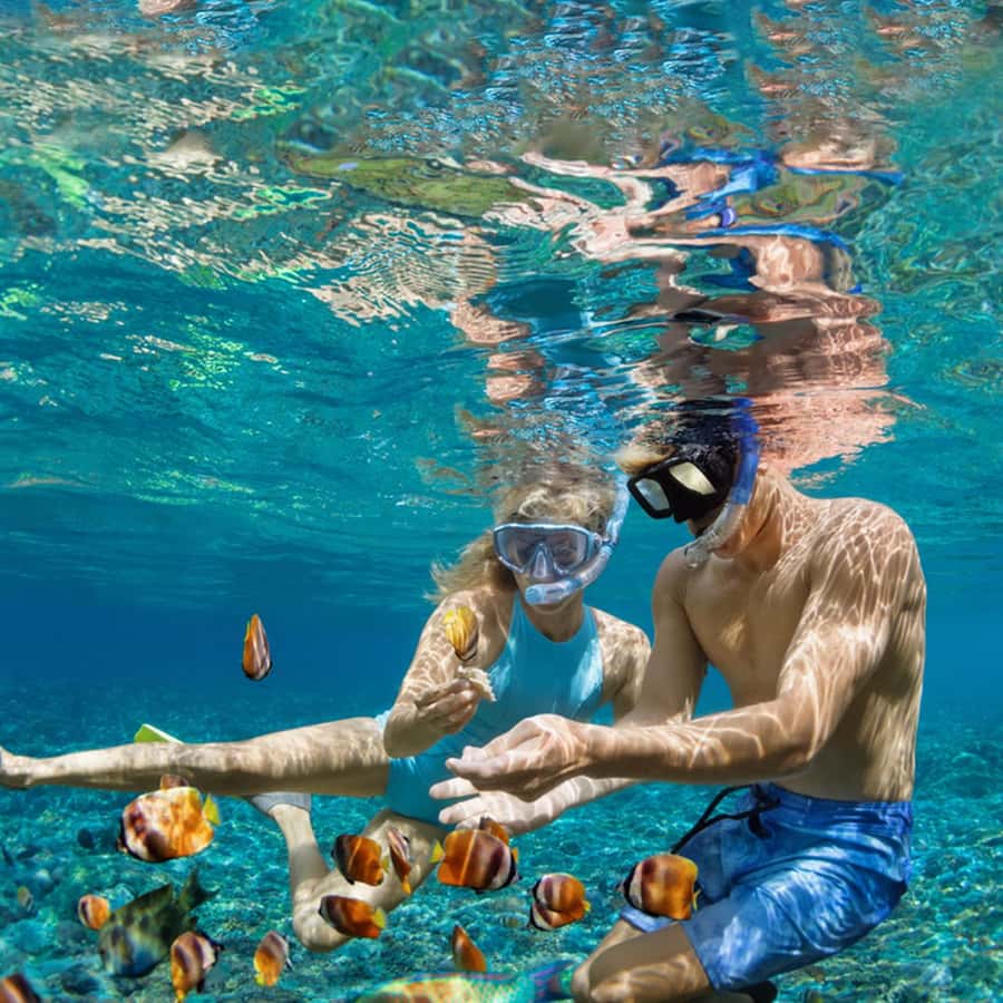 Daymaniyat Islands Snorkeling with Picnic Lunch - Should You Book the Daymaniyat Islands Tour?