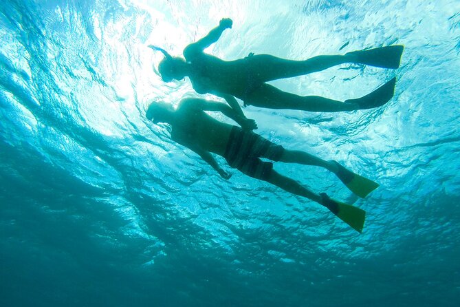 Deluxe Half-Day Snorkel Sail on Lady Grace Luxury Catamaran - What the crew does well