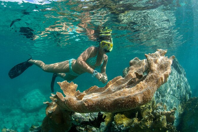 Deluxe Half-Day Snorkel Sail on Lady Grace Luxury Catamaran - Who should book this sail