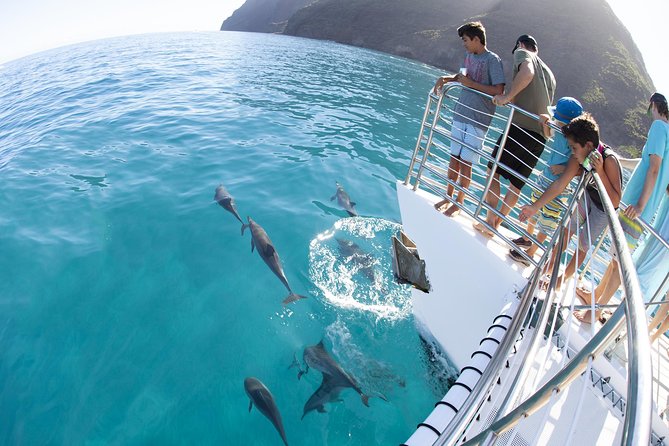 Deluxe Na Pali Morning Snorkel Tour on the Lucky Lady - Is the $233.73 price fair?