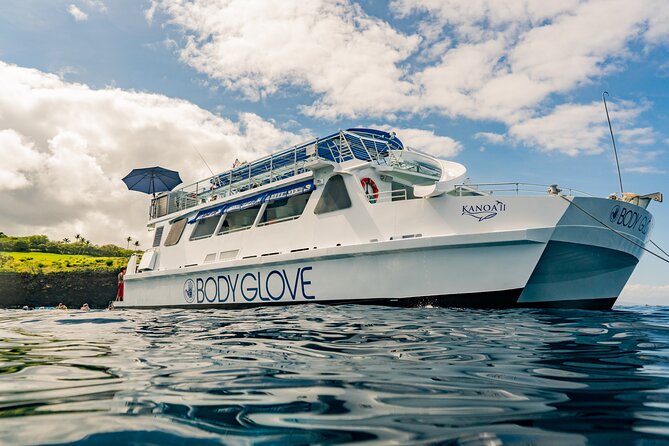 Deluxe Snorkel & Dolphin Watch Aboard a Luxury Catamaran from Kailua-Kona - About two hours at the Red Hill snorkel site