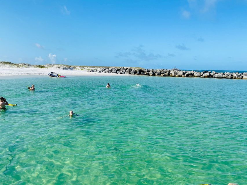 Destin: Snorkeling Cruise with 2 Stops and Dolphin Watching - Who should book, and who should skip it?