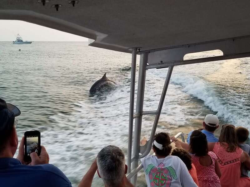 Destin: Snorkeling Cruise with 2 Stops and Dolphin Watching - Between the stops: the best chance for dolphins