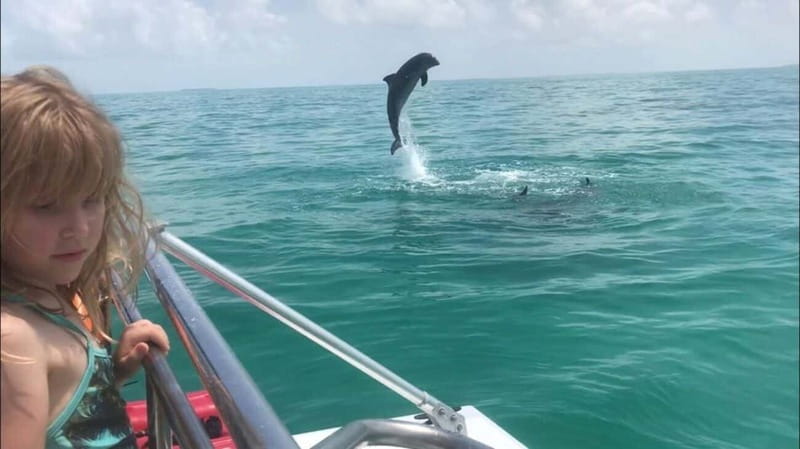 Destin: Snorkeling Cruise with 2 Stops and Dolphin Watching - Why this works well for families