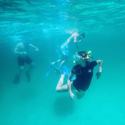 Destin: Snorkeling, Dolphins, and Crab Island - Quick points to know
