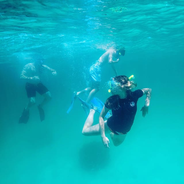 Destin: Snorkeling, Dolphins, and Crab Island - A private boat instead of a packed sightseeing cruise