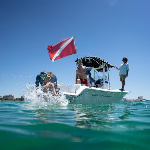 Destin: Snorkeling, Dolphins, and Crab Island - The grass flats: shallow water and shell hunting