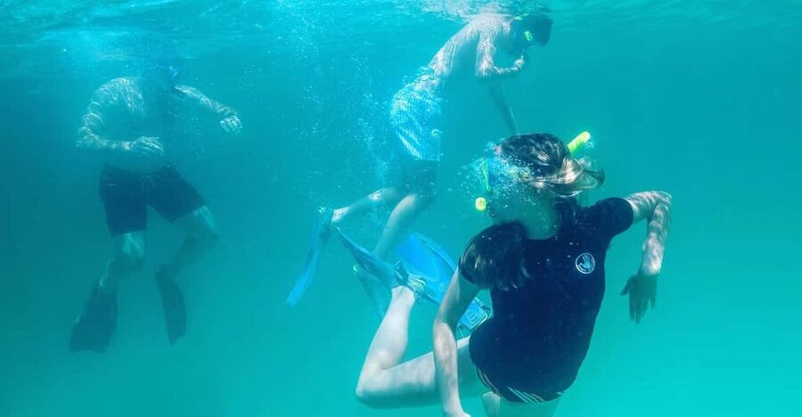 Destin: Snorkeling, Dolphins, and Crab Island - What fits into the three-hour plan