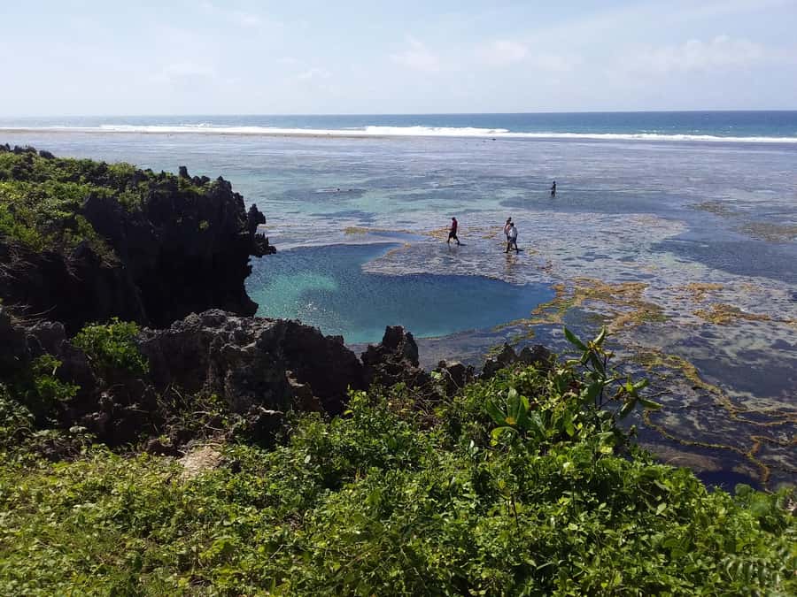Diani: Snorkeling and Swimming at African Pool in Tiwi Beach - What the $35 price covers