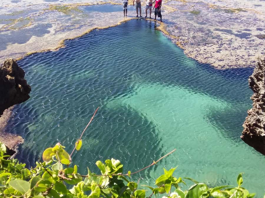 Diani: Snorkeling and Swimming at African Pool in Tiwi Beach - Who will enjoy this Tiwi outing most