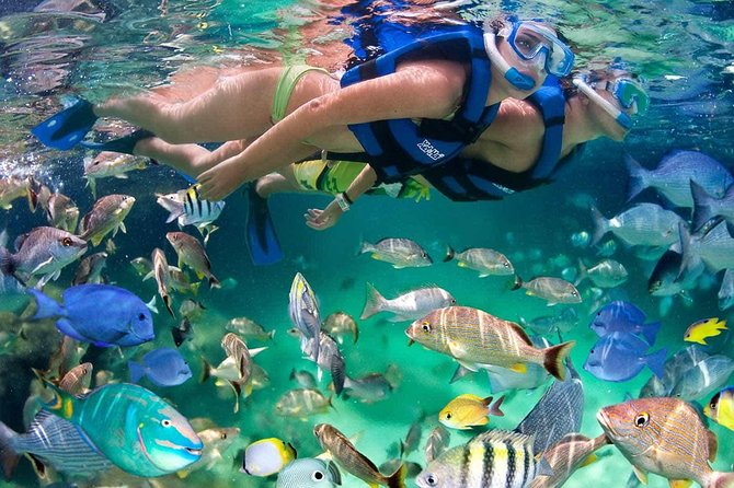Discover Isla Mujeres tour with snorkel, buffet and open bar - What the $15 price really means
