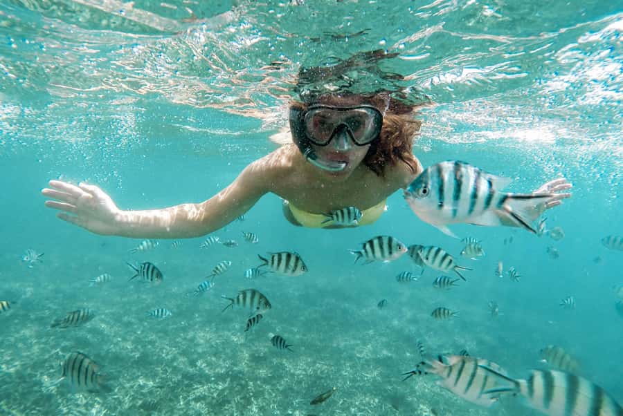 Discover Tumbatu Island: Private Snorkeling Adventure - Booking tips for a better outing