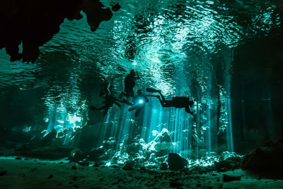 Discover Tumbatu Island: Private Snorkeling Adventure - Is $49 good value?