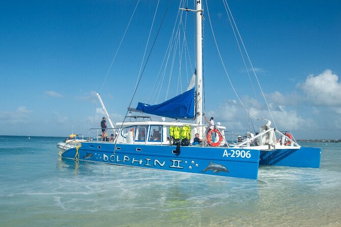 Dolphin Catamaran Snorkel and Sail with Open Bar - The Antilla shipwreck stop