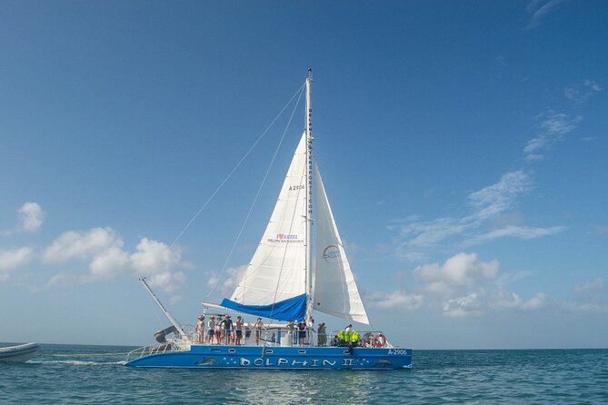 Dolphin Catamaran Snorkel and Sail with Open Bar - Starting at Delphi Watersports in Noord
