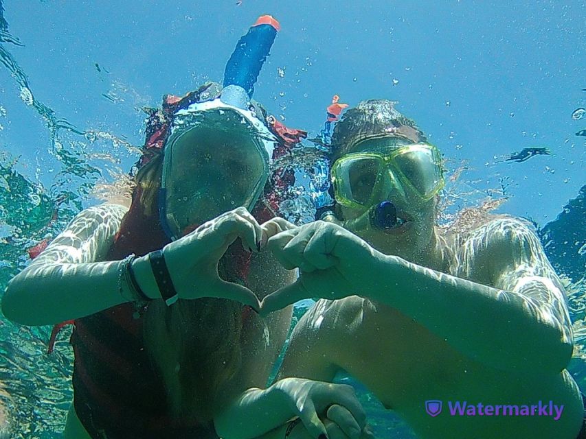 Dolphin house snorkeling trip - Snorkeling over Red Sea coral