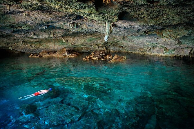Dolphin, Sea Cave, Captain Cook, Kealakekua Bay Reef Snorkeling - Key points before you book