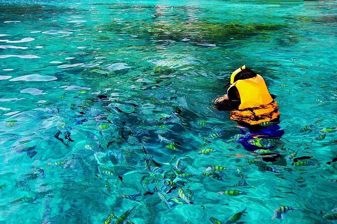 Dolphin, Sea Cave & Captain Cook Snorkel Combo in Kealakekua Bay - Guides, stories, and the feel on board