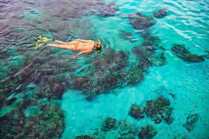 Dolphin, Sea Cave & Captain Cook Snorkel Combo in Kealakekua Bay - The ride from Kona to Kealakekua Bay