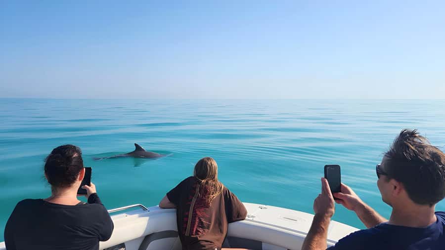 Dolphin & Snorkeling Key West - A small boat makes the Key West outing feel personal