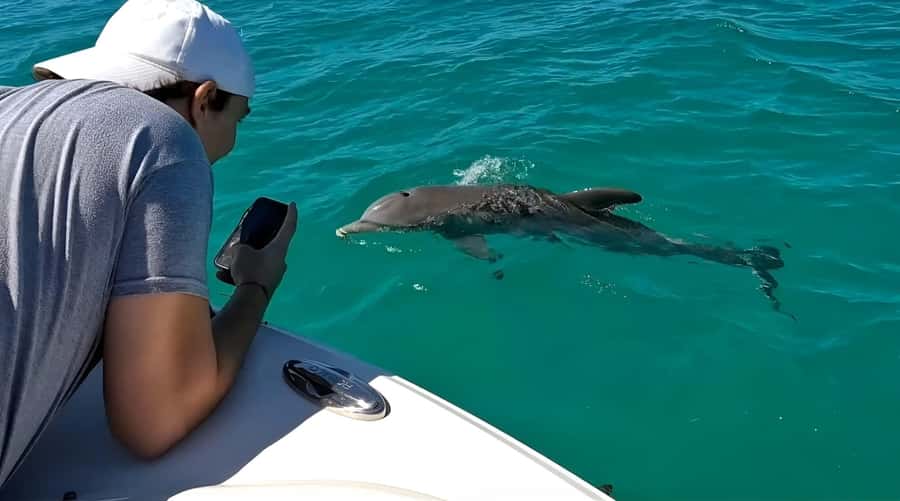 Dolphin & Snorkeling Key West - Who will enjoy this tour most