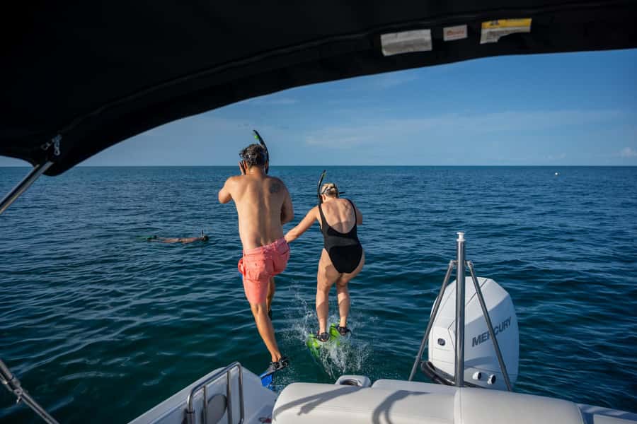 Dolphin & Snorkeling Key West - Timing, weather, and how to prepare