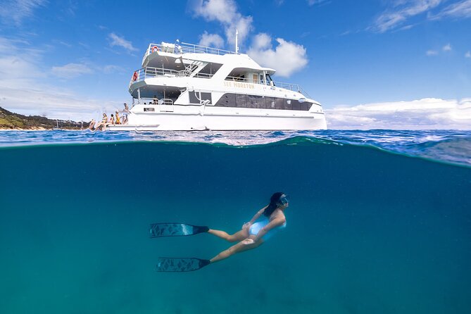 Dolphin & Tangalooma Wrecks Snorkel Cruise & Lunch - Brisbane - Key things to know before you book