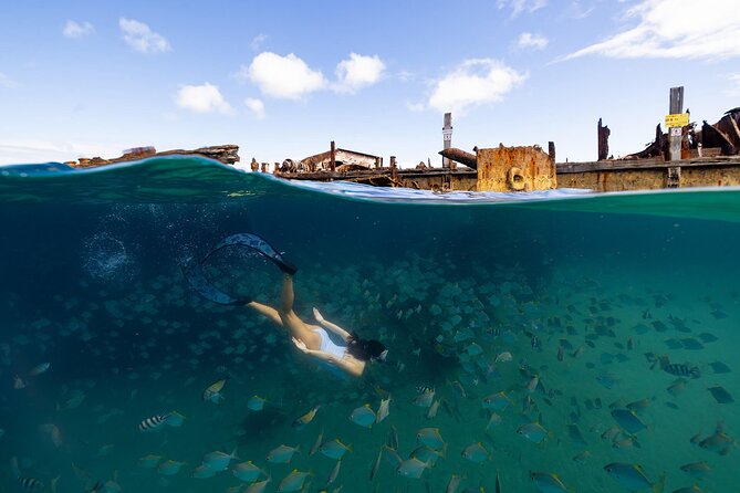 Dolphin & Tangalooma Wrecks Snorkel Cruise & Lunch - Brisbane - An hour of beach time on Moreton Island