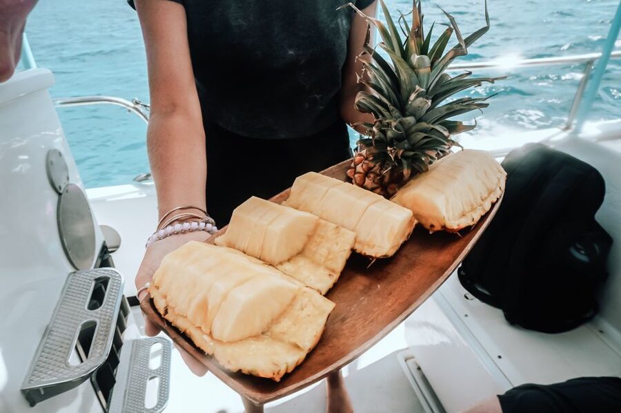 Dolphin Watch Snorkel and BBQ in Kona, Big Island - Key points to know before booking