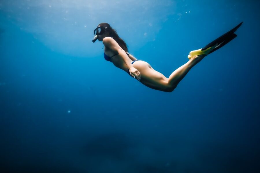 Dolphin Watch Snorkel and BBQ in Kona, Big Island - A three-hour escape from Kona’s busy shoreline