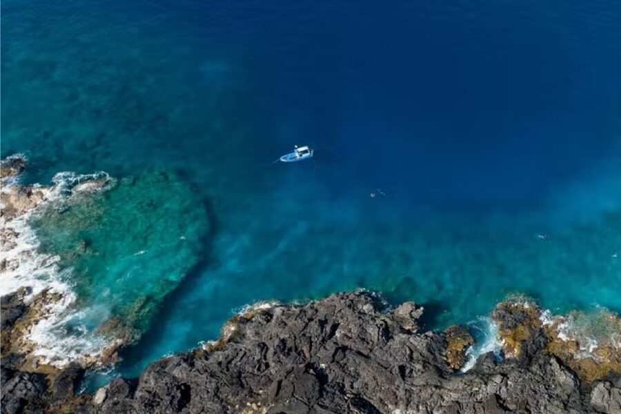 Dolphin Watch Snorkel and BBQ in Kona, Big Island - Sea turtles, reef fish, and realistic wildlife expectations