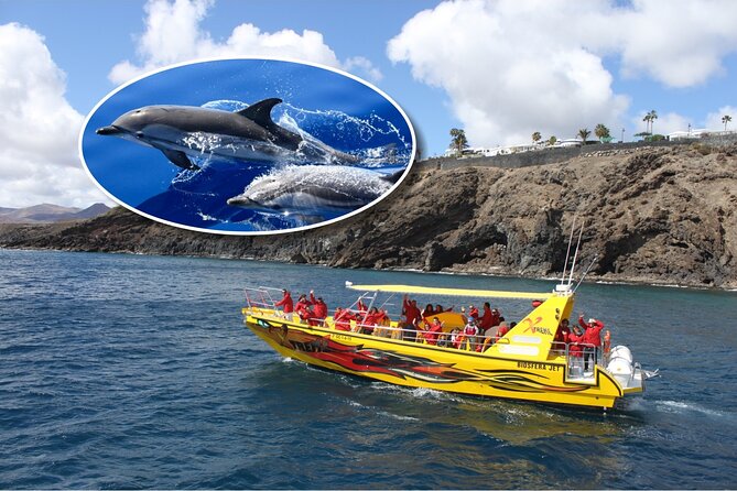 Dolphin Watching Mini Cruise and Snorkeling from Lanzarote - Key points to know before booking