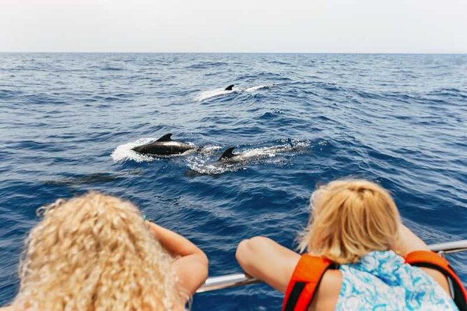 Dolphin Watching Tour with Snorkeling from Olbia - Food, drinks, and what to pack
