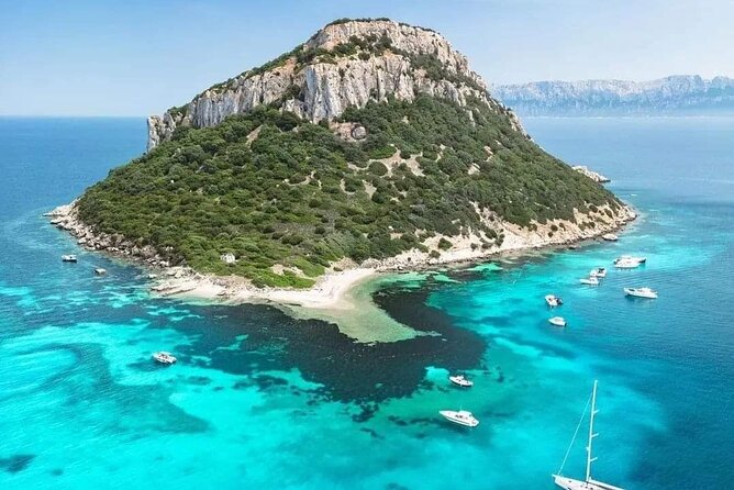 Dolphin Watching Tour with Snorkeling from Olbia - Who should book this Sardinian boat tour?