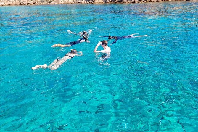 Dolphin Watching Tour with Snorkeling from Olbia - Capo Figari: cliffs, caves, and the first taste of Sardinia