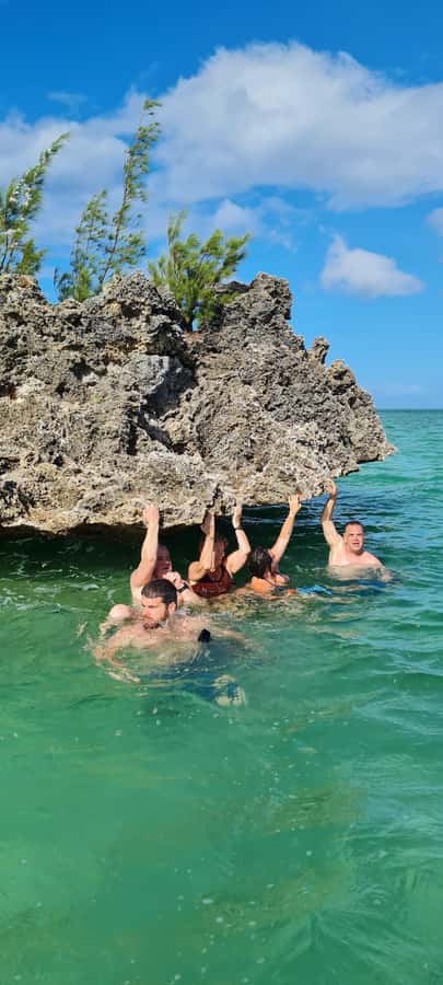 Dolphins: Private, Snorkel, CrystalRock, ileoBenitiers,lunch - Key points to know before you book