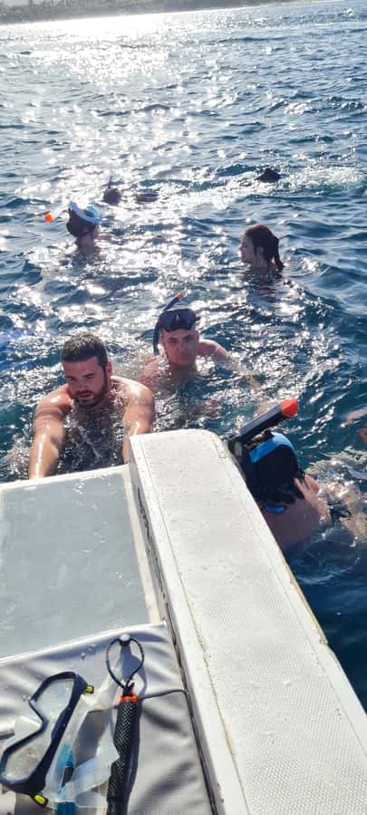 Dolphins: Private, Snorkel, CrystalRock, ileoBenitiers,lunch - Dolphin watching and swimming near Tamarin