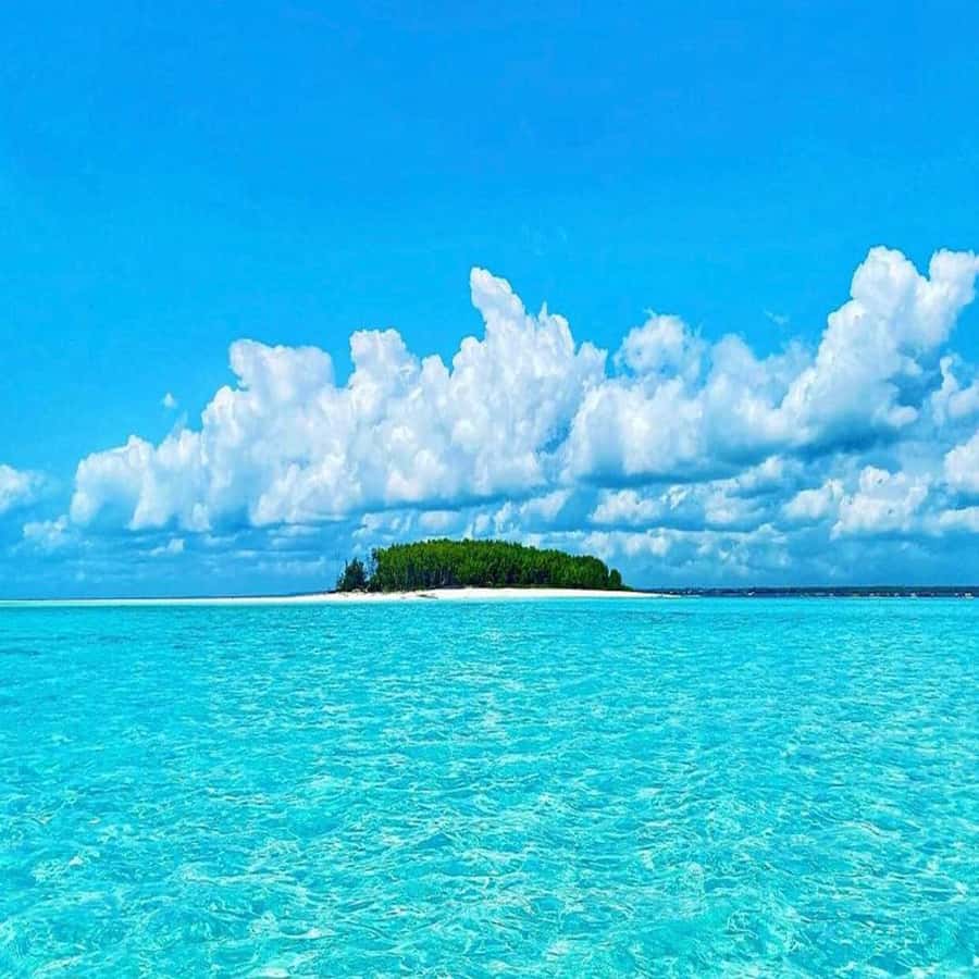 Dolphins & Snorkeling Zanzibar: Mnemba Island Tour - The real appeal of a Mnemba morning