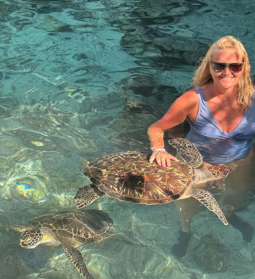 Dolphins tour + mnemba island snorkeling + salaam turles - Key points to know before you go