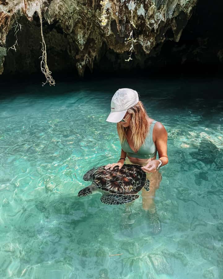 Dolphins tour + mnemba island snorkeling + salaam turles - What this six-hour Zanzibar trip is really like