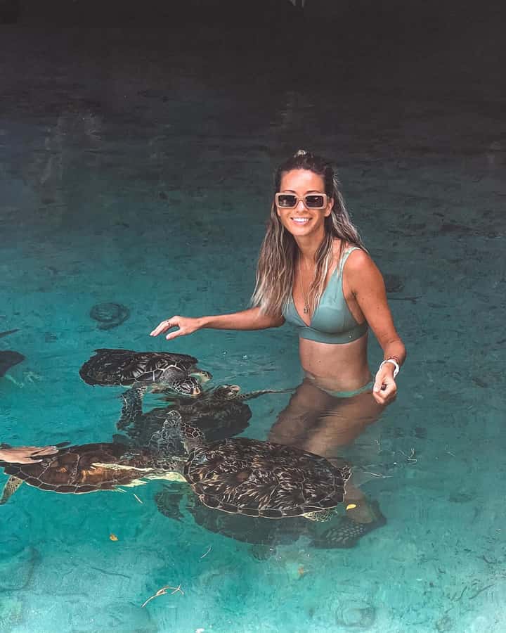 Dolphins tour + mnemba island snorkeling + salaam turles - Pickup from nearly every part of Zanzibar