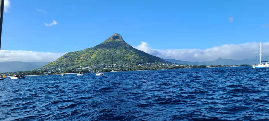 Dolphins & Whales, Private Tour Snorkeling - Languages, timing, and cancellation