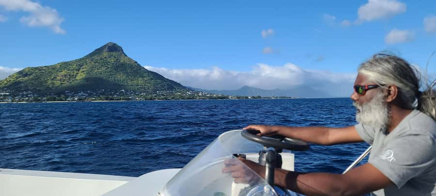 Dolphins & Whales, Private Tour Snorkeling - Who will enjoy this four-hour outing