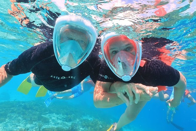 Double Dip Snorkel Trip - Two reef stops, not one rushed swim