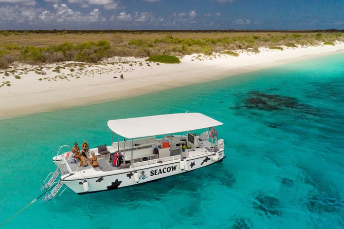 Double Dip Snorkel Trip - A guide who does more than point the way