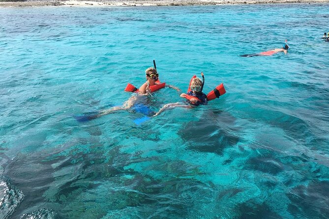 Double Dip Snorkel Trip - Equipment, prescription masks, and comfort in the water