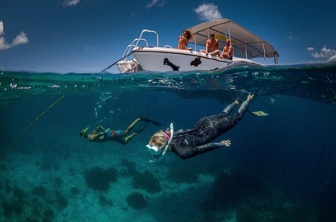 Double Dip Snorkel Trip - Who will enjoy this trip most